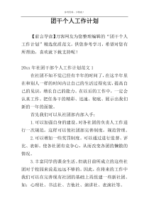 团干个人工作计划