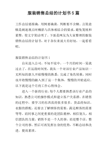 服装销售总结的计划书5篇