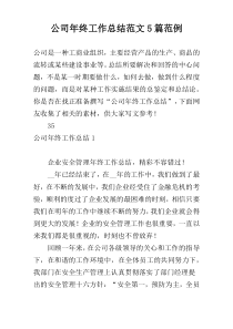 公司年终工作总结范文5篇范例