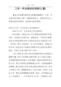 工作一年自我评价范例(2篇)