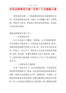 实用品牌策划方案（实例）大全精编4篇