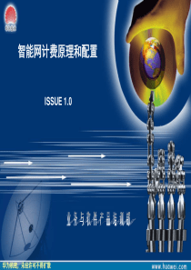 15智能网基础培训智能网计费原理和配置V10