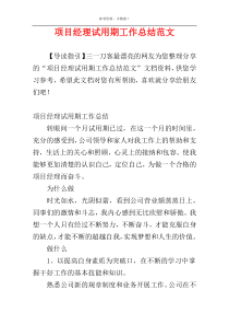 项目经理试用期工作总结范文