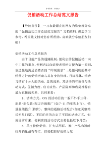 促销活动工作总结范文报告