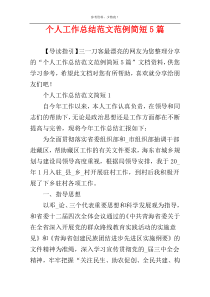 个人工作总结范文范例简短5篇