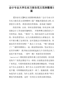 会计专业大学生实习报告范文范例整理5篇