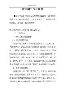 试用期工作计划书