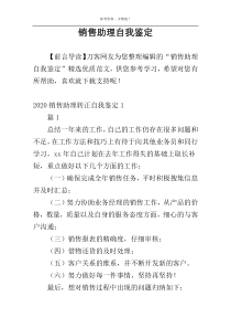 销售助理自我鉴定