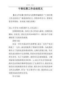 干部任期工作总结范文