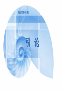 ERP在中国(ppt 419页)ERP能够做什么