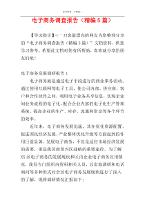 电子商务调查报告（精编5篇）