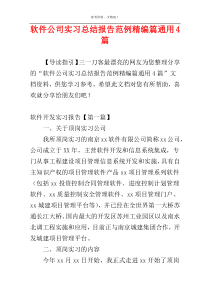 软件公司实习总结报告范例精编篇通用4篇
