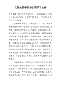 党外处级干部培训班学习心得