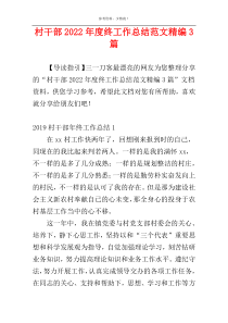 村干部2022年度终工作总结范文精编3篇