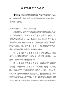 大学生暑假个人总结