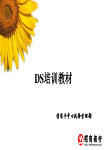 DS培训教材