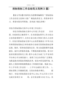 招标投标工作总结范文范例(3篇)