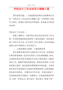 学校会计工作总结范文精编5篇