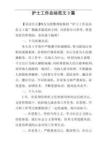 护士工作总结范文3篇