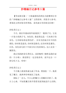抄精编日记参考5篇