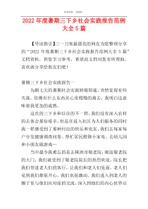 2022年度暑期三下乡社会实践报告范例大全5篇