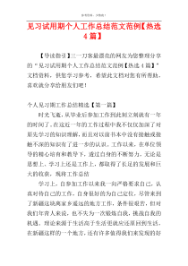 见习试用期个人工作总结范文范例【热选4篇】