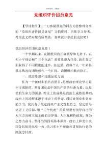 党组织评价团员意见