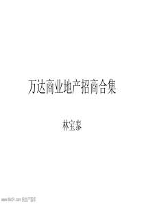 XXXX万达商业地产招商合集