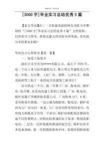 [3000字]毕业实习总结优秀5篇