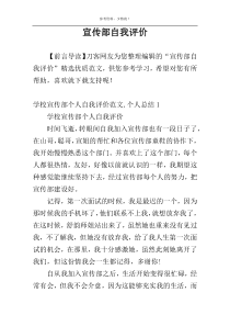 宣传部自我评价