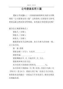 公司借条实用5篇