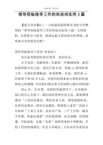 领导莅临指导工作的欢迎词实用3篇