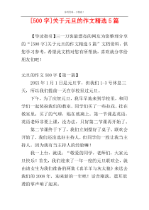 [500字]关于元旦的作文精选5篇