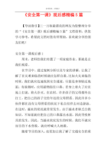 《安全第一课》观后感精编5篇