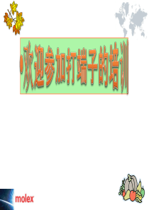 MOLEX打端子培训教材