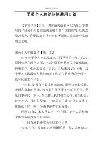 团员个人总结范例通用5篇