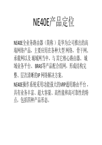 NE40E数据网培训胶片