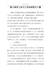 新入职员工实习工作总结范文3篇