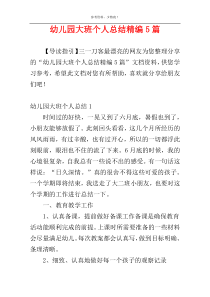 幼儿园大班个人总结精编5篇