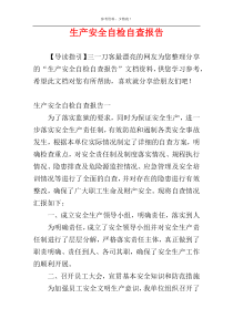 生产安全自检自查报告