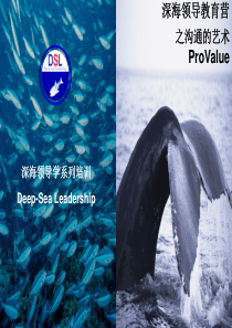 ProValue(内部培训用)