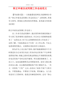 转正申请及试用期工作总结范文