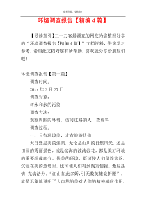 环境调查报告【精编4篇】