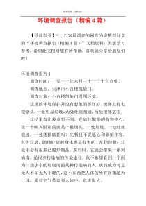 环境调查报告（精编4篇）