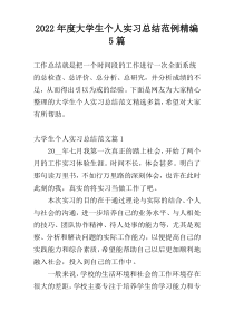 2022年度大学生个人实习总结范例精编5篇