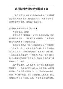 试用期报告总结范例最新4篇