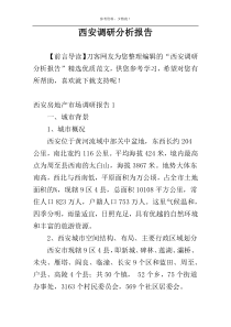 西安调研分析报告