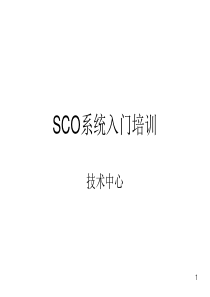 sco系统入门培训
