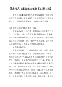 国土局实习报告范文范例【实用4篇】