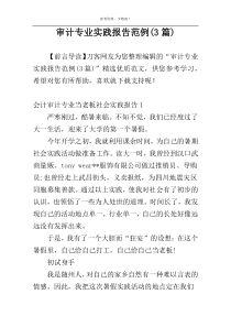 审计专业实践报告范例(3篇)